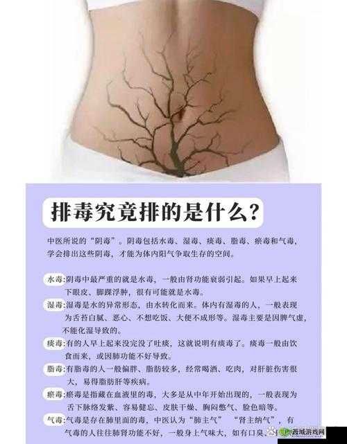 老中医李雪妮排阴毒：神奇中医技法