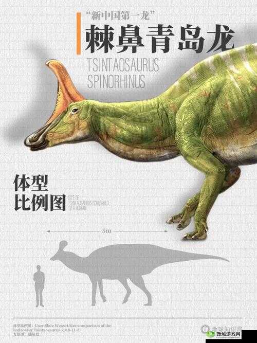 八寸长的大宝贝：神奇之物