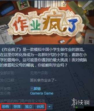 超有趣的作业疯了：独特游戏特色全揭秘