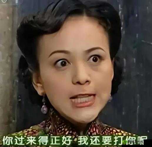 激战 2 雪姨和奶爸谁厉害：深度解析对比