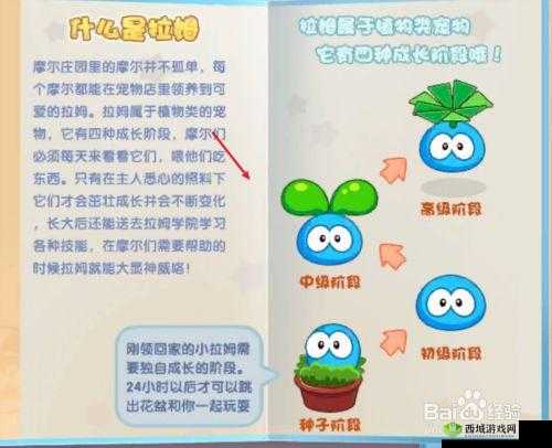 摩尔庄园拉姆进化历程全揭秘及升级详细手把手教学