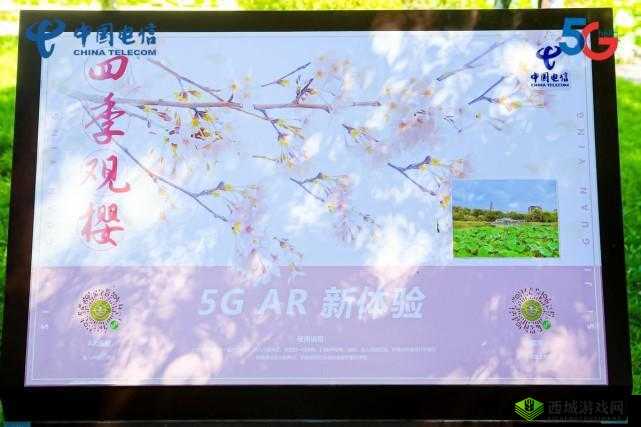 樱花官网官方进入：开启全新体验之旅