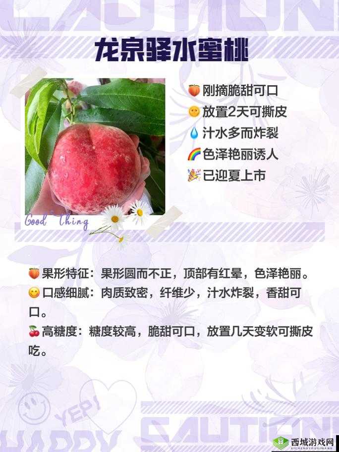 日本水蜜桃品种岭风：甜蜜多汁的夏日之选