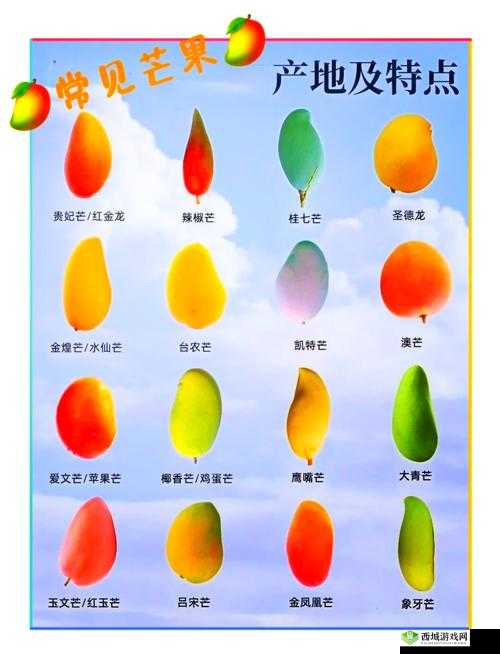 芒果精产国品一二三产区区别：深入探究其差异与特色