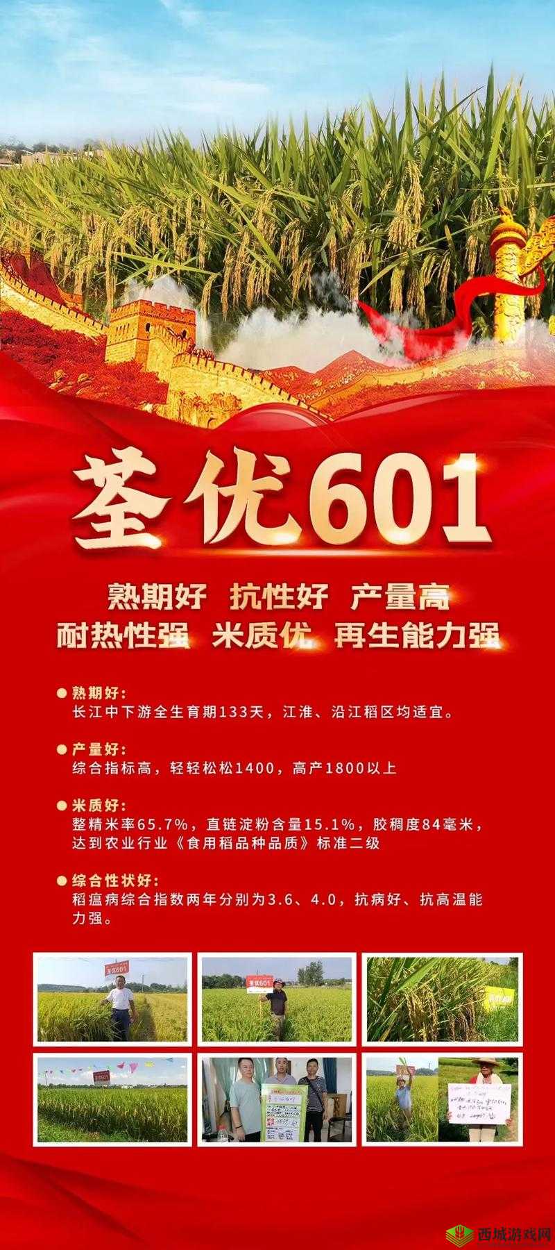 国产最顶级国精产品一二三区别：深度解析其品质与特性差异