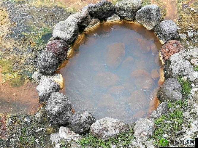 探索边境之旅，揭秘贝壳项链合成技巧，融合麻线、海玻璃与贝壳的独特创意手作之旅