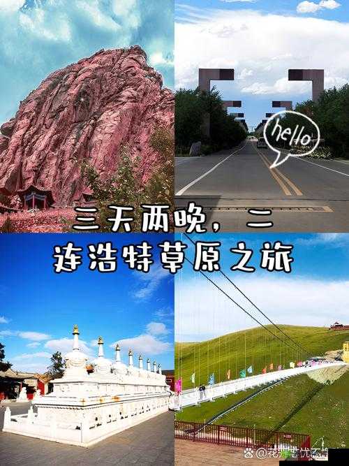 边境之旅深度探索，揭秘草原花位置，踏上一场繁花似锦的秘境之旅