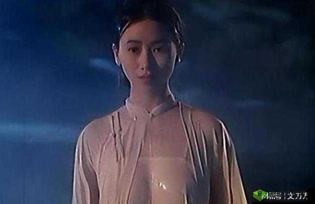 嫖妓奇缘第二部：都市猎艳之风云再起