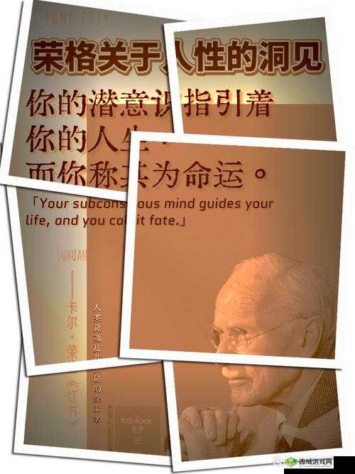 无人区码一码二码W358CC：探索未知领域的神秘编码