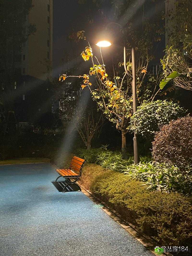 夜色迷离：窥探 91 夜色视频背后的故事