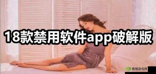 夜晚免费禁用十大亏亏破解版：尽享私密时光的神器