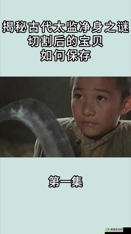 大侠速成指南第28关终极揭秘，如何智破扑朔迷离的太监身份之谜？
