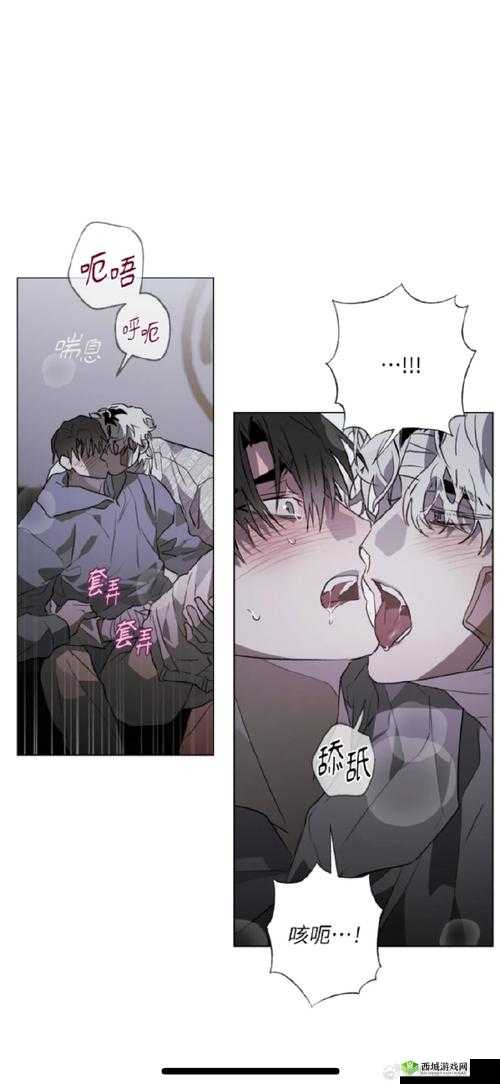 十冷2第四章隐藏攻略揭秘，年轻车夫引领的宝藏与谜题何在？